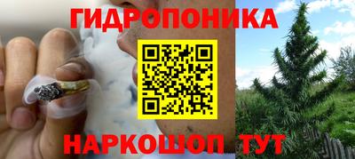 ешки Железногорск